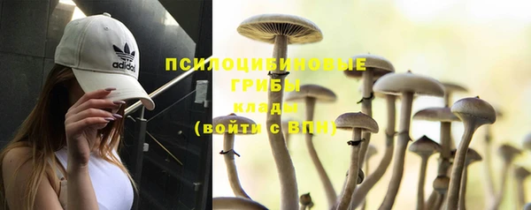 трава Нея