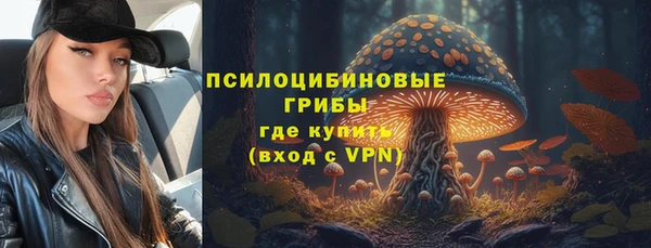крисы Нязепетровск
