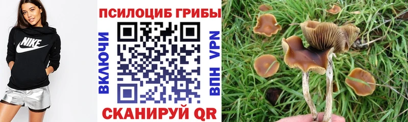 Псилоцибиновые грибы прущие грибы  Остров 